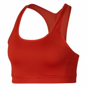 Fitness Bra